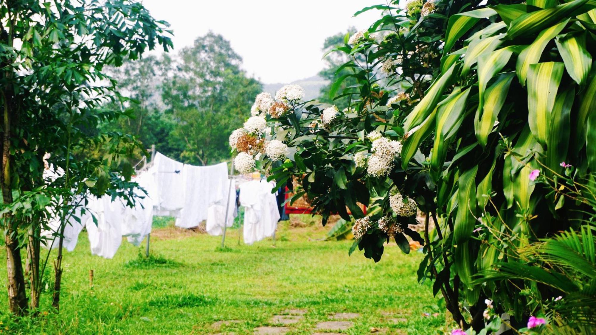 Phong Nha Eco Village Eksteriør billede