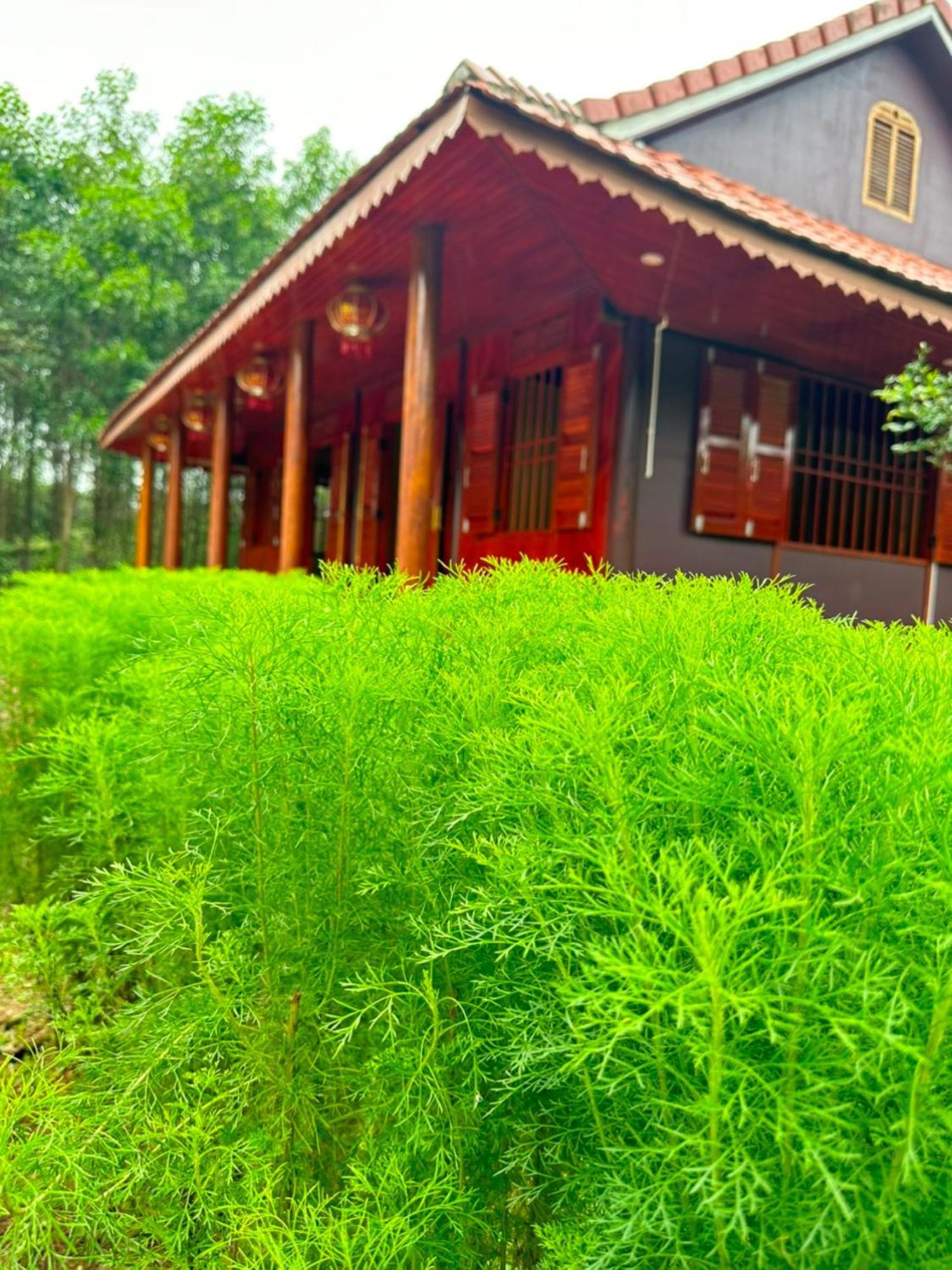Phong Nha Eco Village Eksteriør billede