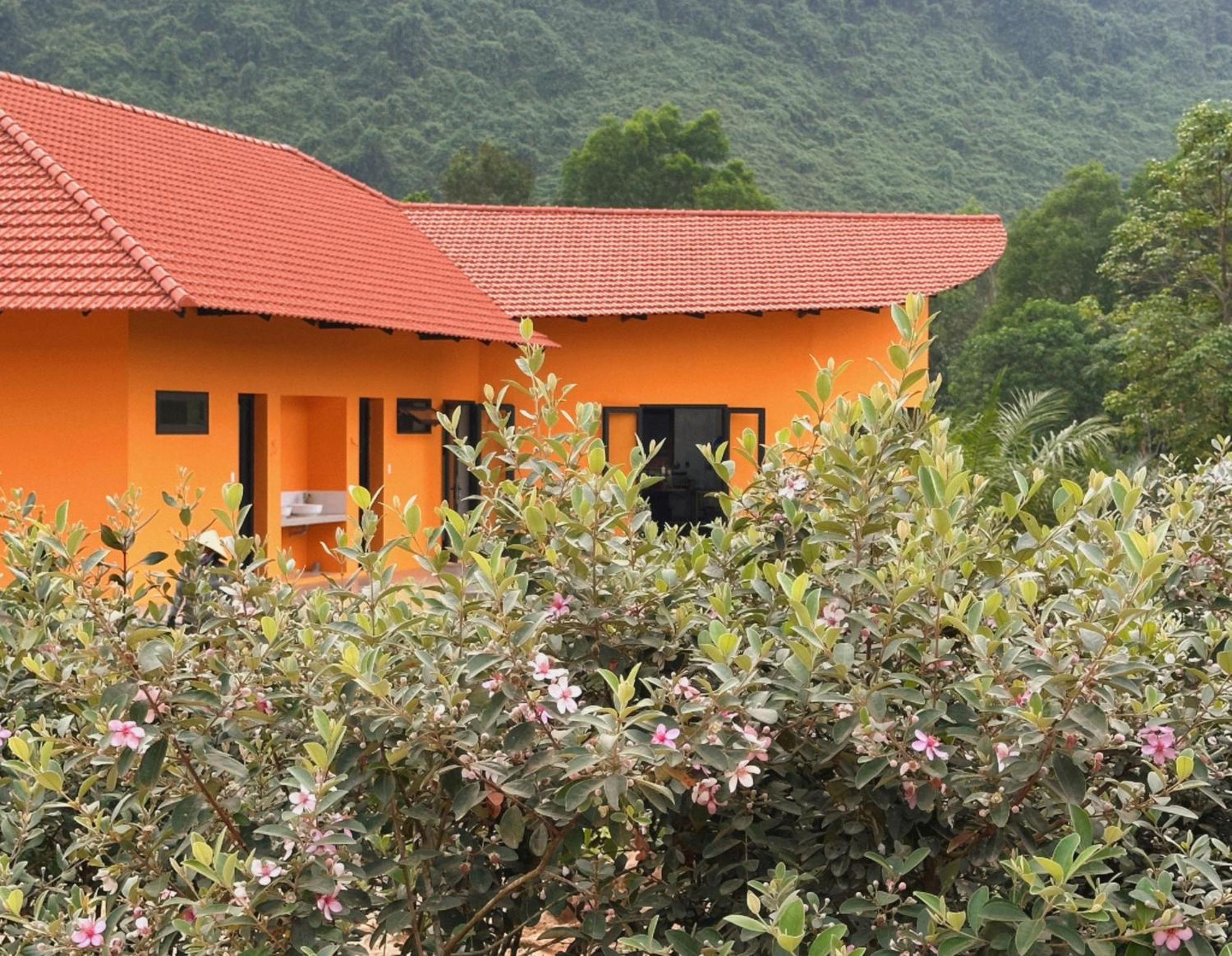 Phong Nha Eco Village Eksteriør billede