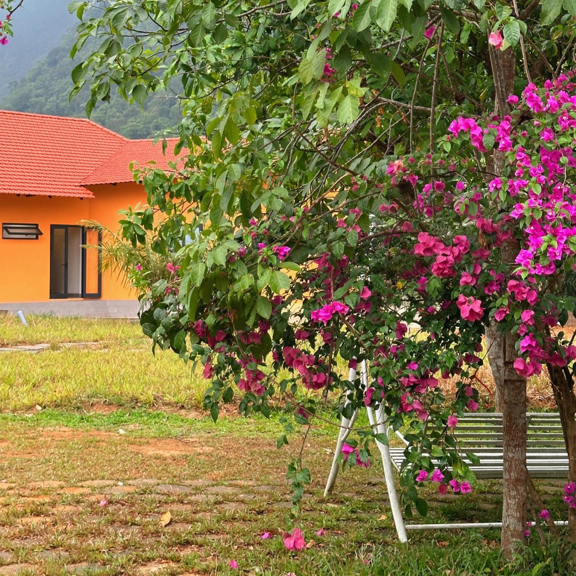 Phong Nha Eco Village Eksteriør billede